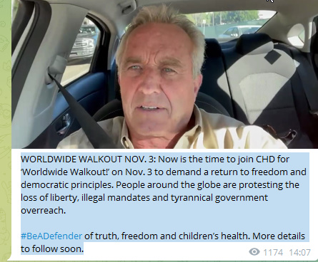 WORLDWIDE WALKOUTNOV. 3 NowIsTheTimeToJoinCHDfor ‘WorldwideWalkout!’Nov3ToDemandaReturnToFeedomAndDemocraticPrinciples